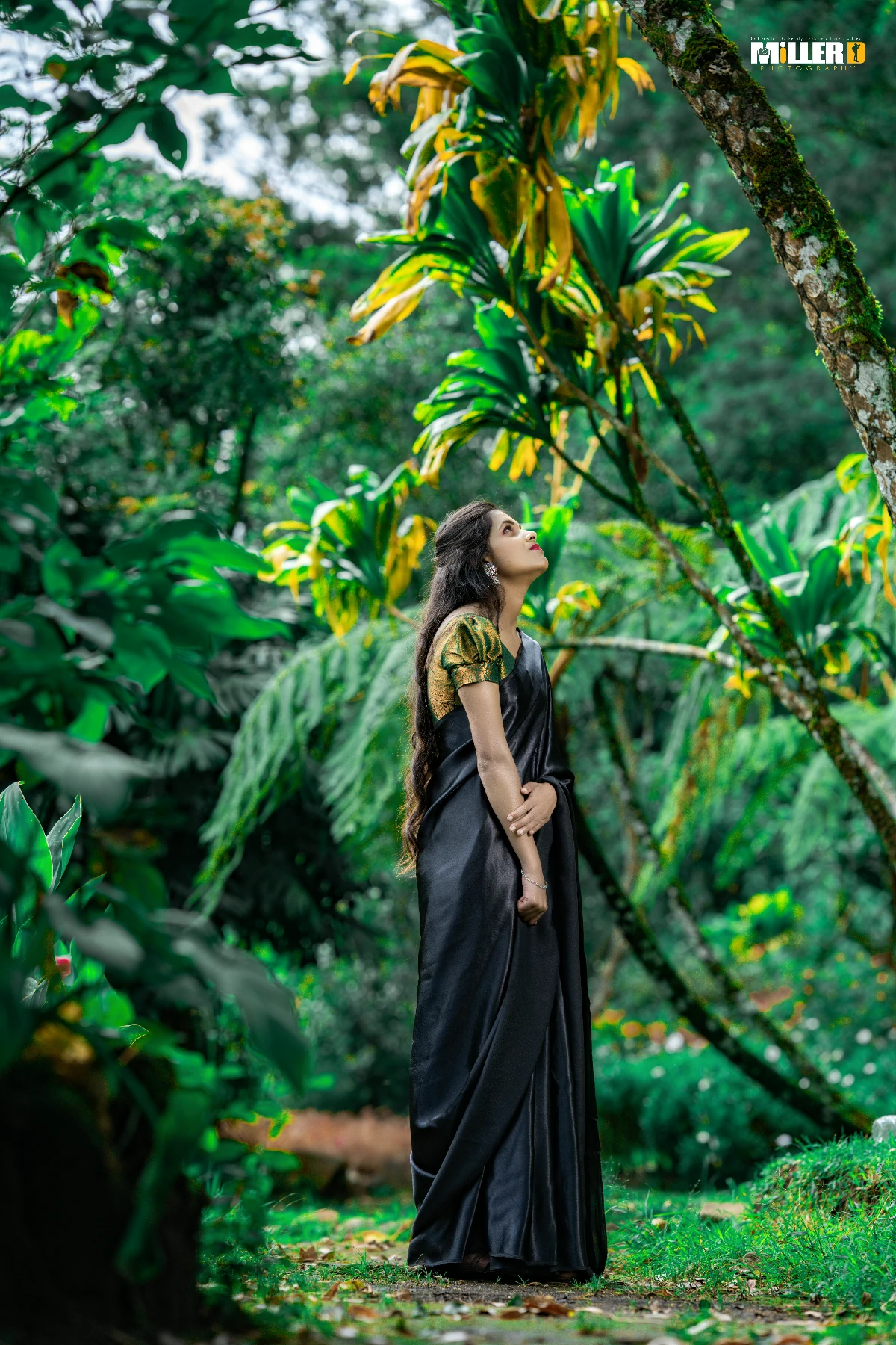 Portrait Vol 1104
